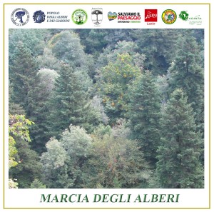 Marcia-degli-alberi