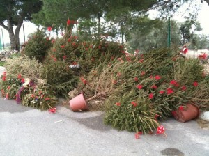 alberi natale