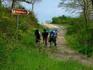 via_francigena_-_pellegrini